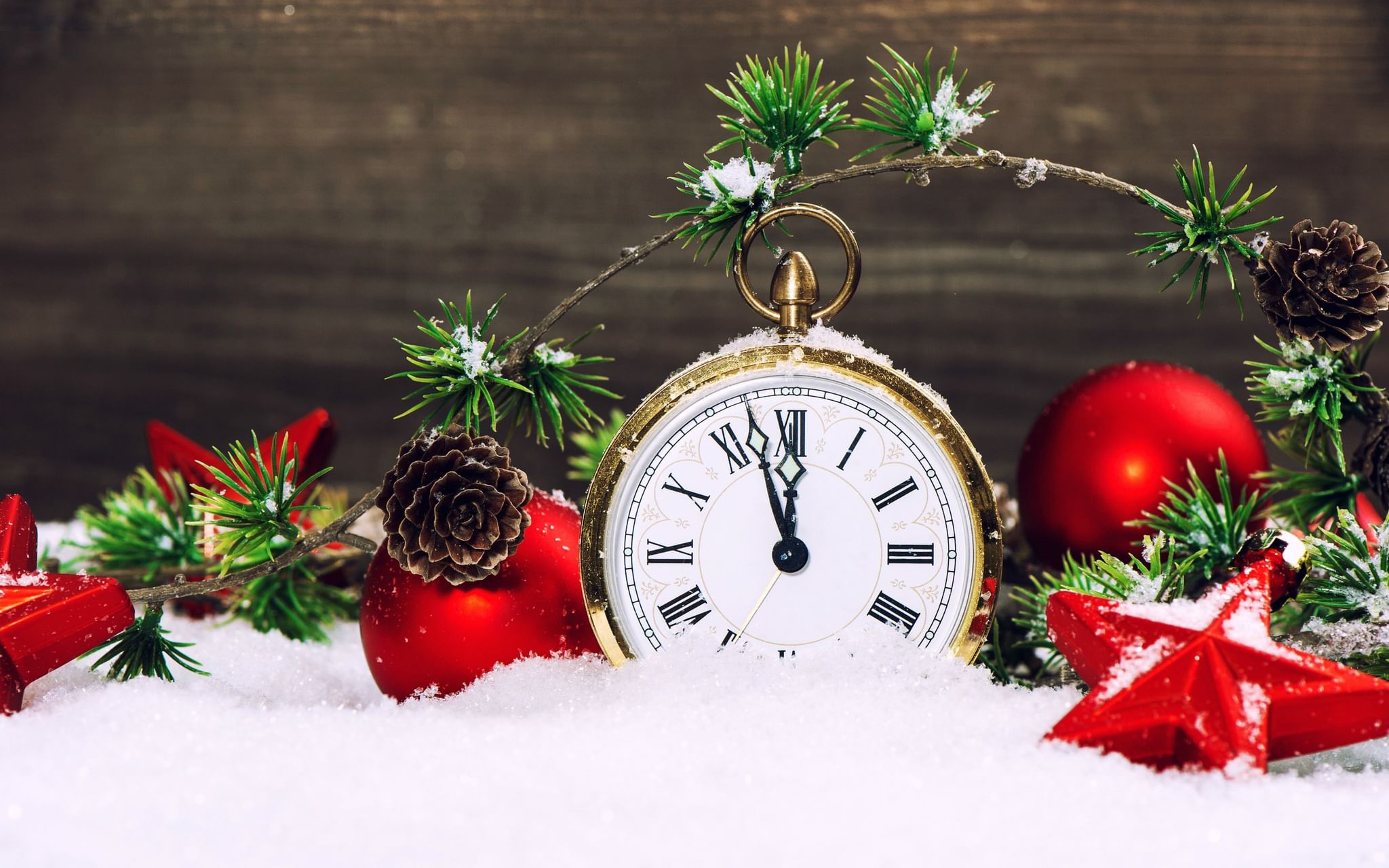 New Year's schedule of ROLS ISOMARKET